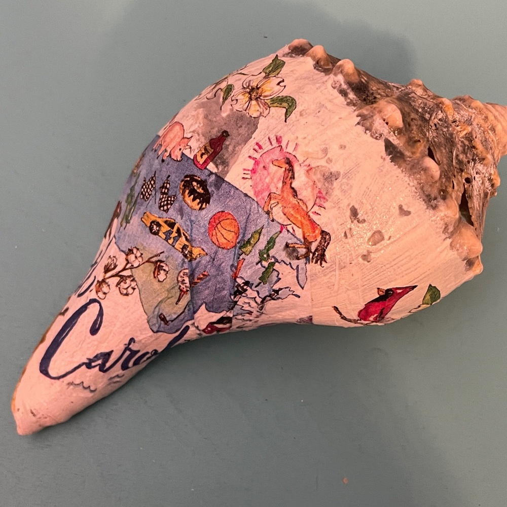 Decorative Seashell with Colorful Illustrations
